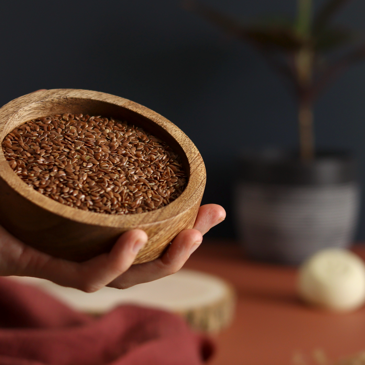 graines lin bio brun