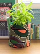 Panier rond Gága S utilisé comme cache-pot avec plante verte, décoration salon